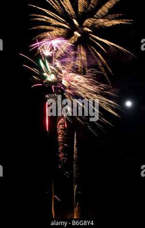 Firework display light show rocket explosion spread in black sky Full moon Newport Pembrokeshire coast. Vertical 89018 Fireworks Stock Photo