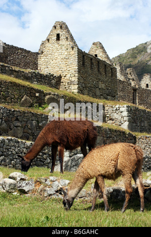 Machu Picchu Stock Photo