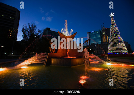 Victoria Square, fountain with Christmas tree at night, Adelaide, South Australia, Australia Stock Photo