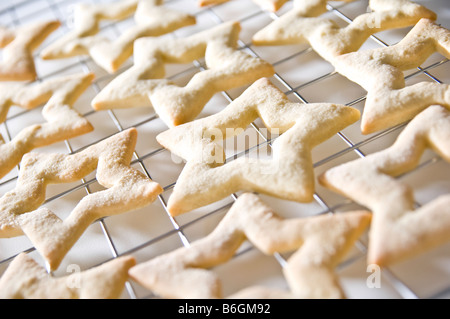Star-shaped ginger biscuits laid on a cooling rack. They were then packed up in small boxes to give for Christmas presents. Stock Photo