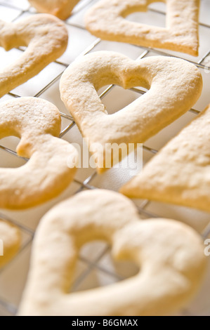 Heart shaped ginger biscuits laid on a cooling rack. They were then packed up in small boxes to give for Christmas presents. Stock Photo