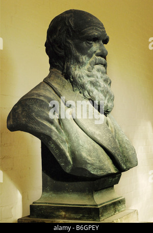 Bust of Charles Darwin in Christ's College, Cambridge by the American sculptor William Couper. Stock Photo