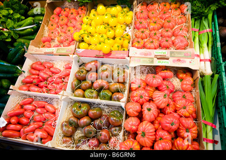 Display of various types of unusual tomatos in French Supermarket Stock Photo