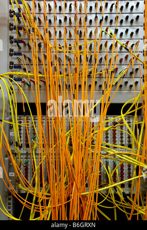 DEU Germany Cable of a computer server center of a company Stock Photo