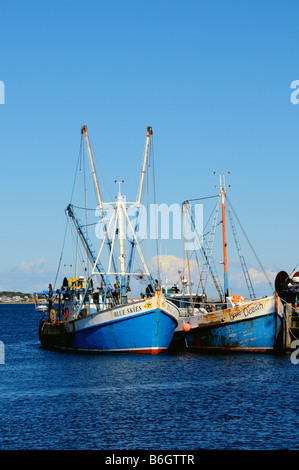 Fishing boats in the harbour, Provincetown, Cape Cod, USA Stock Photo