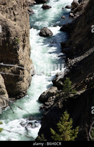 The Yellowstone River Stock Photo
