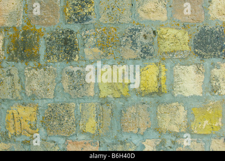 background of green grunge stones Stock Photo