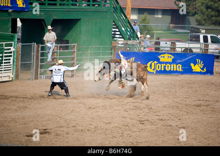 cowboy getting flung off bull Stock Photo