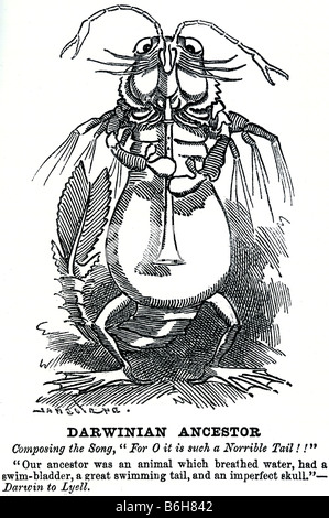 Charles Darwin Cartoon Stock Photo - Alamy