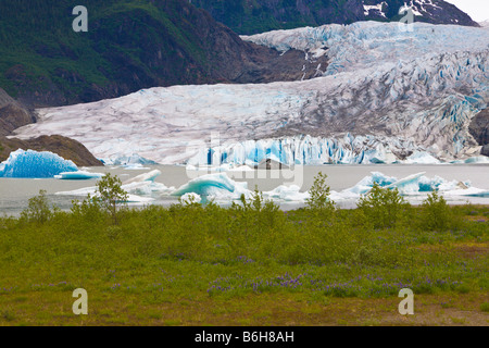 Mendenhall Glacier Juneau Alaska USA Stock Photo