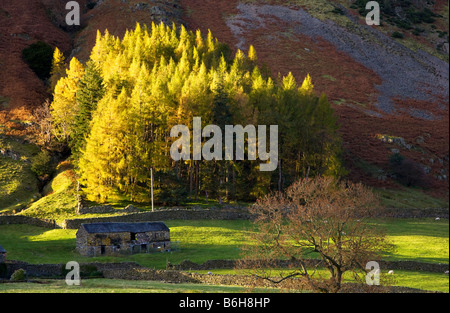 A sunny late afternoon autumn day in the Lake District National Park Cumbria England UK Stock Photo