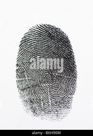 Fingerprint detail with a white background Stock Photo
