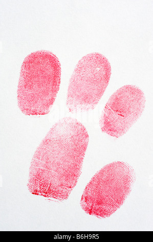 Fingerprints with a white background Stock Photo