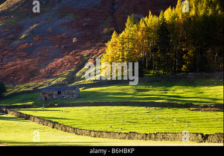 A sunny late afternoon autumn day in the Lake District National Park Cumbria England UK Stock Photo