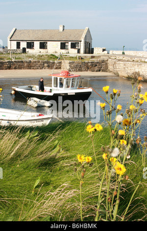 The pretty Ballintoy harbour, County Antrim, Northern Ireland Stock Photo