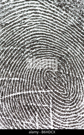 Fingerprint close up Stock Photo