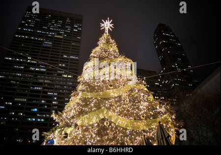 Nighttime Photo of Christmas Tree in Bryant Park New York with illuminated buildings in background (For Editorial Use Only) Stock Photo