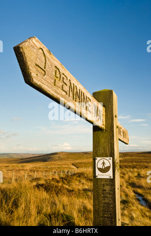 Pennine Way route marker near the summit of Whitely Sike in the Redesdale area of the Northumberland National Park, England Stock Photo