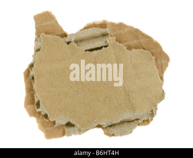torn piece of corrugated fiberboard isolated on a white background Stock Photo