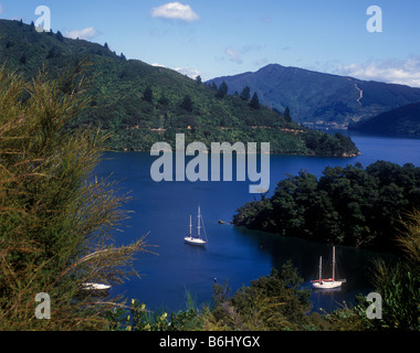 Picturesque Okiwa Bay on Queen Charlotte Sound near Picton in the Marlborough region of South Island Stock Photo