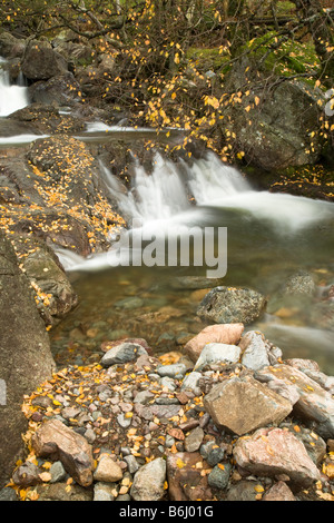 Dungeon Ghyll Force tumbling over boulders in the autumn Great Langdale Valley Lake District Cumbria Uk