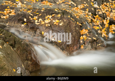 Dungeon Ghyll Force tumbling over boulders in the autumn Great Langdale Valley Lake District Cumbria Uk