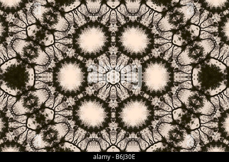Kaleidoscopic image of tree branches Stock Photo