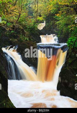 Pecca Falls on the River Twiss one of a number of waterfalls on the Ingleton Waterfall Trail, Yorkshire Dales National Park Stock Photo