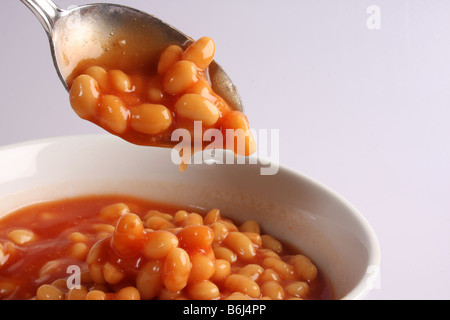 Baked beans in a tomato sauce. Stock Photo