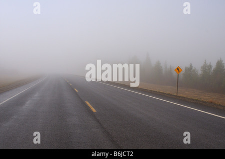 Foggy road 0801 Stock Photo