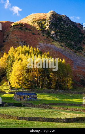 A sunny late afternoon autumn day in the Lake District National Park Cumbria England UK Stock Photo