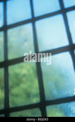 Impressionistic view through part of classical square-paned window with condensation to tree in late summer with blue sky Stock Photo