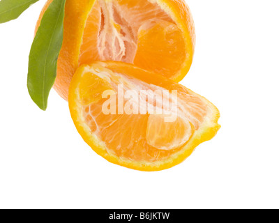 Single Fresh Healthy Fresh Ripe Clementine Citrus Fruit Isolated Against A White Background With Copy Space And No People Stock Photo