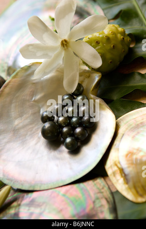 Beautiful black pearls harvested after 18 months.  Hinano Pearl Farm, Fakarava, Tuamotus, French Polynesia Stock Photo