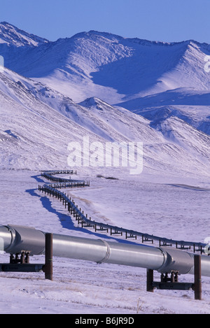 USA, Alaska, Brooks Range. Trans-Alaska pipeline across the arctic tundra from Prudhoe Bay to Valdez Stock Photo