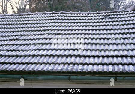 Frozen tiles on the roof Stock Photo