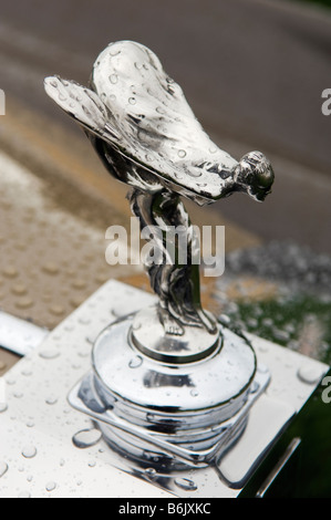 The iconic Spirit of Ecstasy emblem on the bonnet of a Rolls Royce luxury car Stock Photo