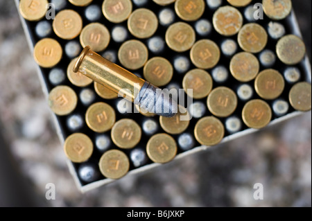 England. .22 rifle bullets Stock Photo