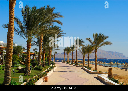 beautiful beach and ocean in sharm el sheikh egypt Stock Photo