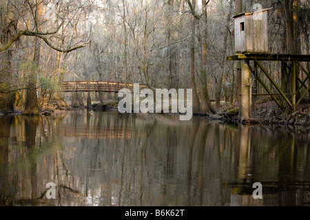 Late afternoon light on the Bald Cypress trees and an abandoned outhouse along the river at Congaree National Park. Stock Photo