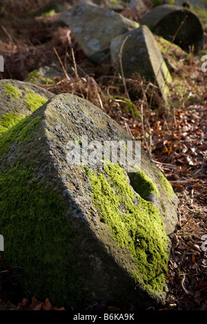 Hathersage. Carved, chiselled round, abandoned mill wheel, old, rural, ancient millstone.  Mill Stones in Peak District National Park, Derbyshire, UK Stock Photo