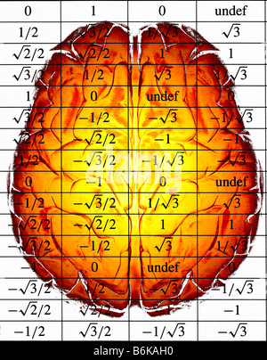 medical diagram on human head x-ray digitally enhanced Stock Photo