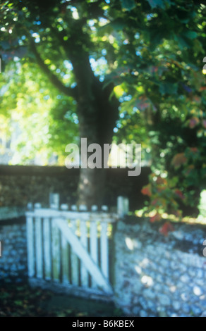 Impressionistic view of backlit Sycamore tree with some leaves autumnal red above flint wall with white painted wicket gate