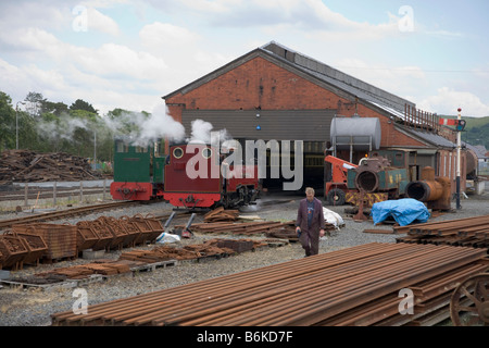 Vale of Reheidol Light Railway steam locomotive and shed Stock Photo