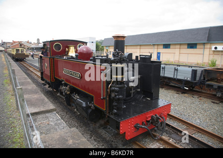 Vale of Reheidol Light Railway steam locomotive and shed Stock Photo