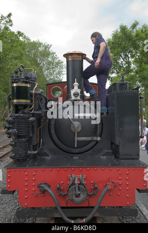 Vale of Reheidol Light Railway steam locomotive and shed Stock Photo