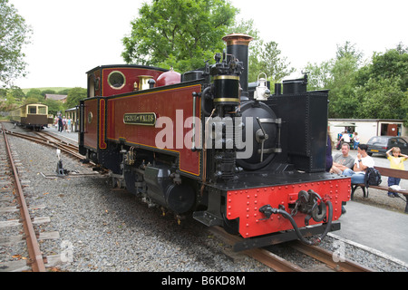 Vale of Reheidol Light Railway steam locomotive and shed Stock Photo