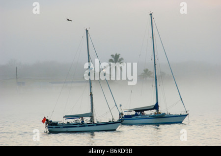sailing ship boat in the bay of San Cristóbal puerto Baquerizo Moreno ECUADOR SAN CRISTOBAL Galapagos Islands fog foggy water se Stock Photo
