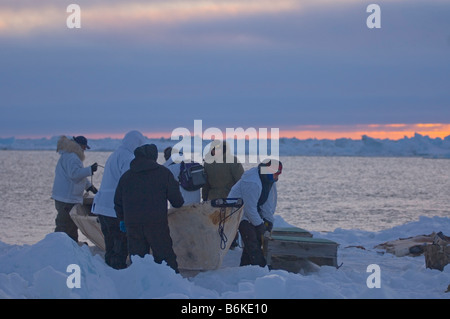 Inupiaq whaling crew pulls their seal skin boat or umiak up onto the pack ice after paddling after whales in an open lead Stock Photo