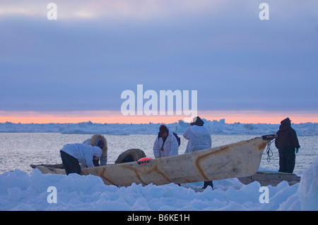 Inupiaq whaling crew pulls their seal skin boat or umiak up onto the pack ice after paddling after whales in an open lead Stock Photo